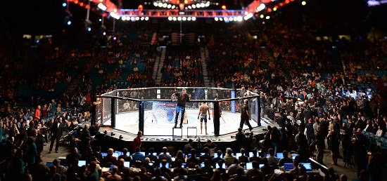 Betting on the UFC